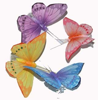 פרפרים צבעוניים