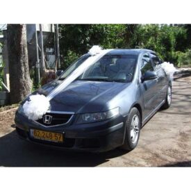 קישוט רכב בצבעים לבנים מסרטים וטולים