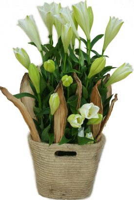 סידור מיוחד בסל מקרמיקה - שדה פרחים משלוחי פרחים