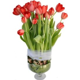 סידור פרחים red tulip סידור פרחים red tulip