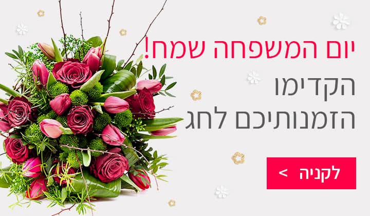 יום משפחה - שדה פרחים משלוחי פרחים