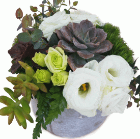 סידור פרחים עם סוקולנטים - שדה פרחים משלוחי פרחים