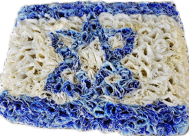 דגל ישראל מפרחים - שדה פרחים עיצוב פרחים ומשלוחי פרחים