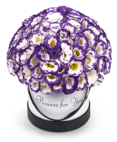 קופסת ליזי סגול לבן - שדה פרחים משלוחי פרחים