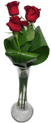 ורדים בואזה