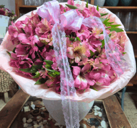 זר פרחים אסטרומריה