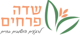 שדה פרחים
