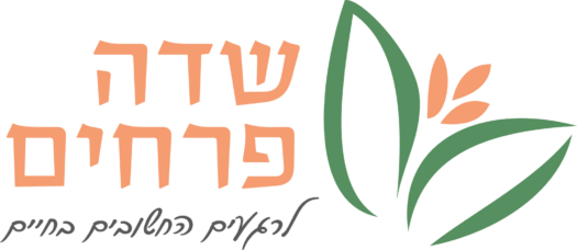שדה פרחים